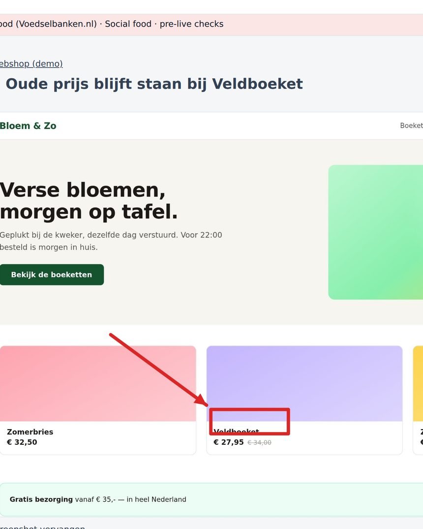 Meldr — De melding komt binnen met pagina, browser en schermformaat
